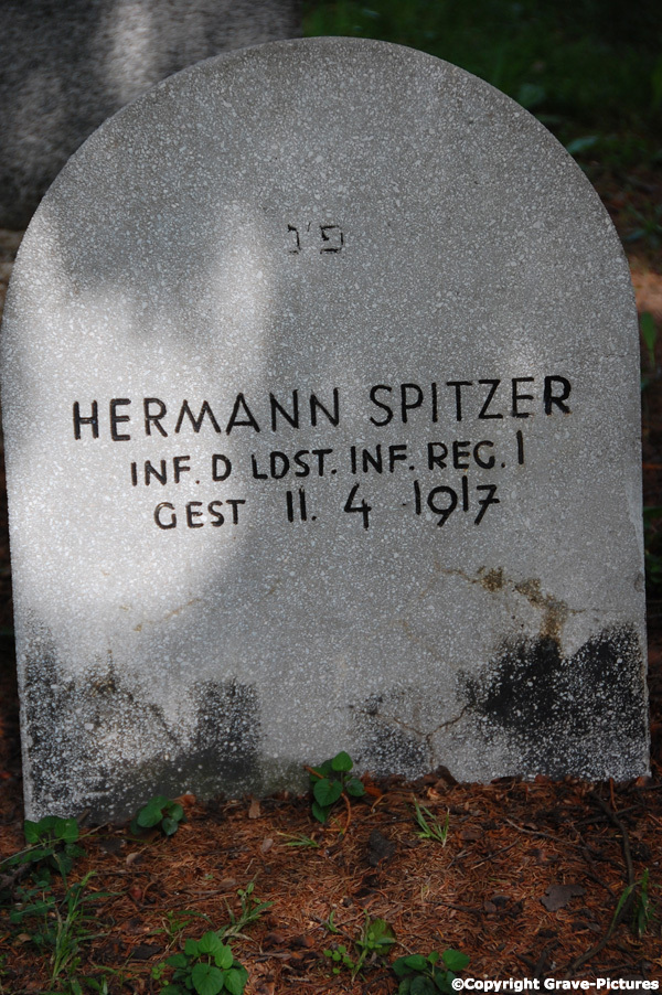 Spitzer Hermann