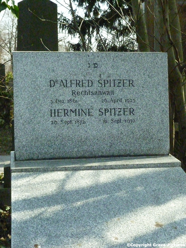 Spitzer Hermine