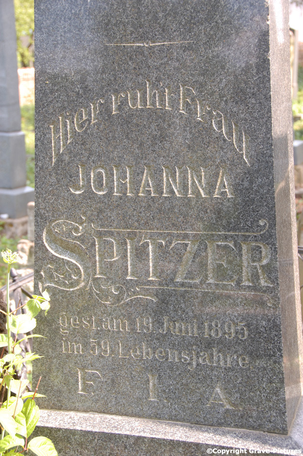 Spitzer Johanna