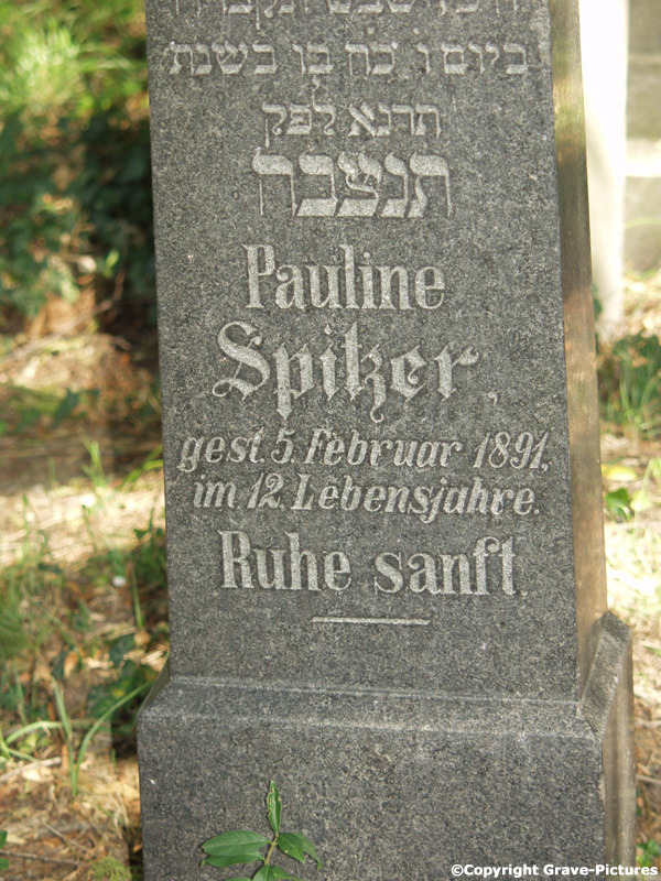 Spitzer Pauline