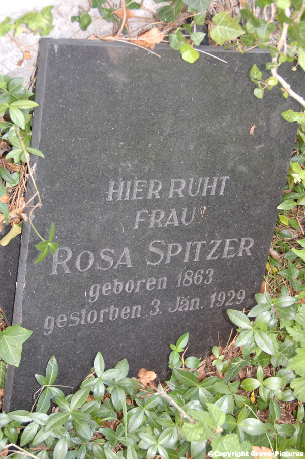 Spitzer Rosa