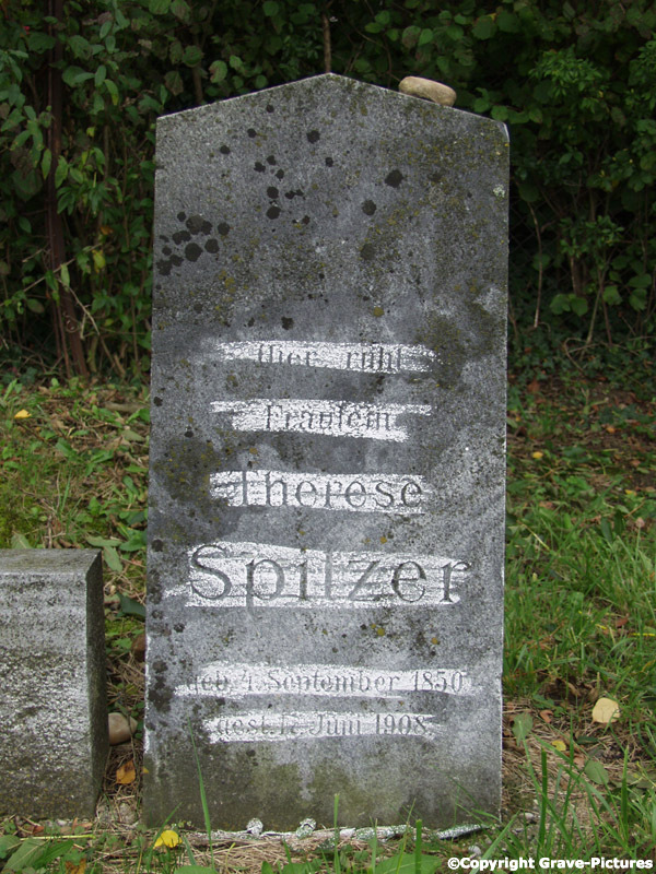Spitzer Therese