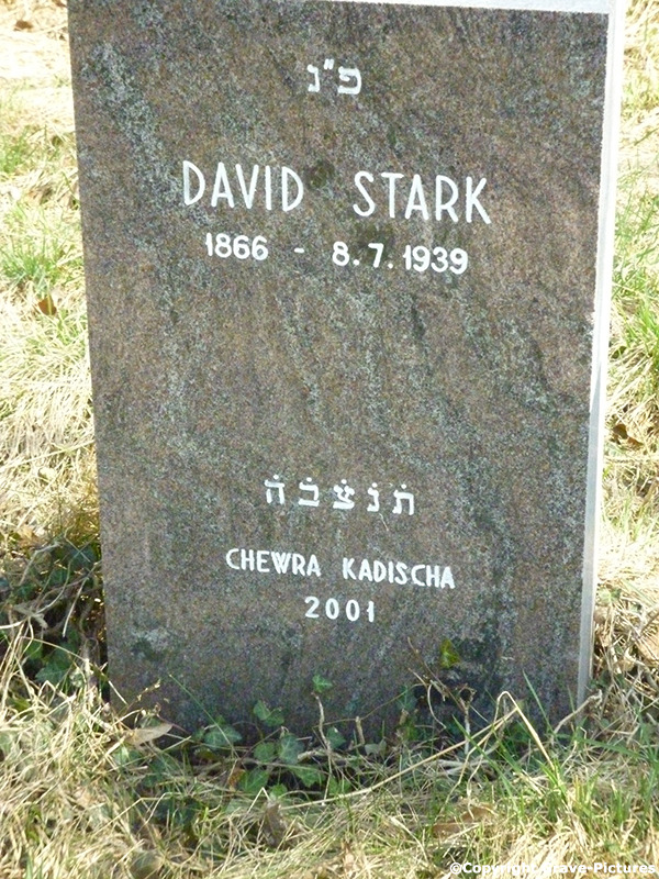 Stark David