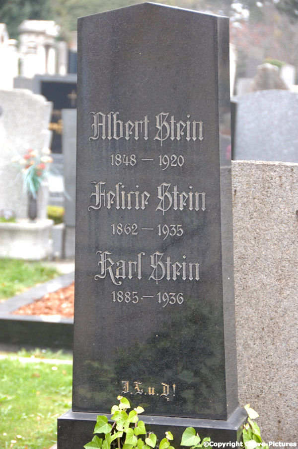 Stein Albert
