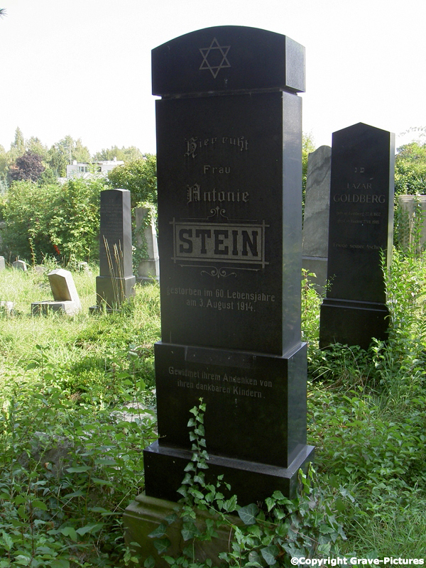 Stein Antonie