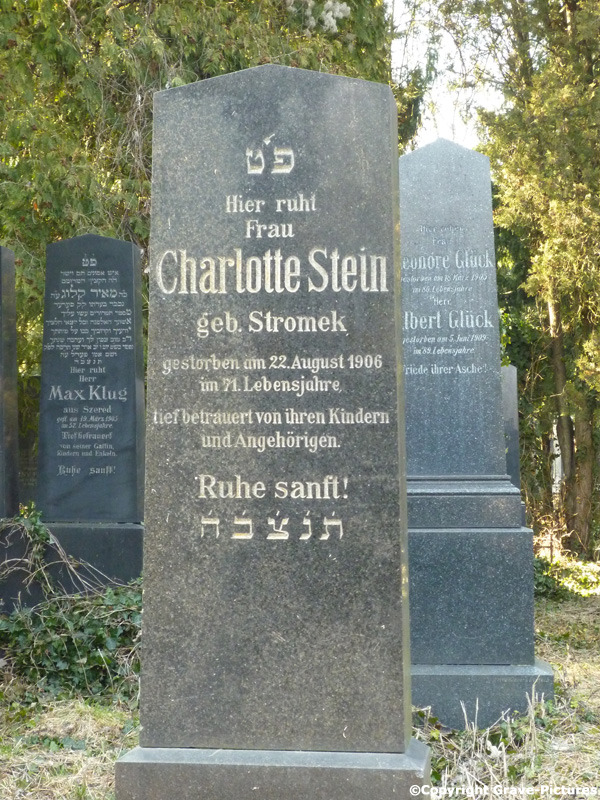Stein Charlotte Lotti