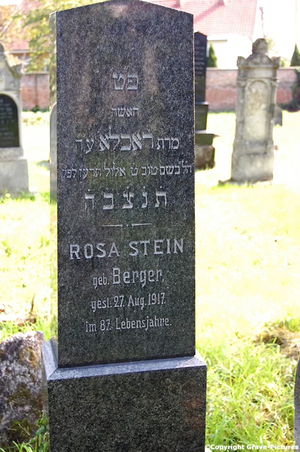 Stein Rosa