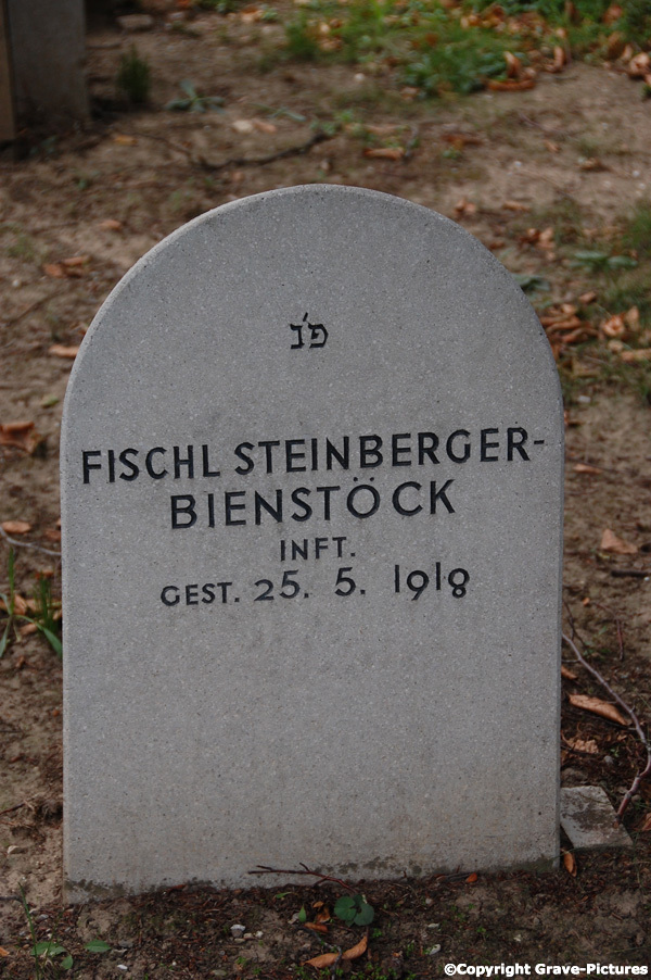 Steinberger-Bienstöck Fischl