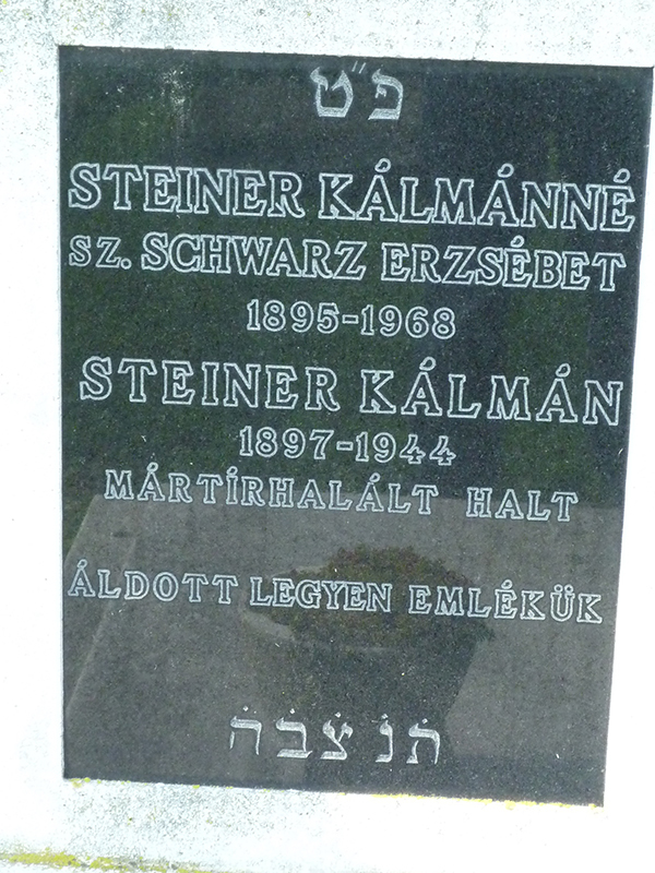 Steiner Kalman
