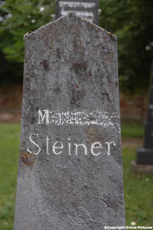 Steiner M.