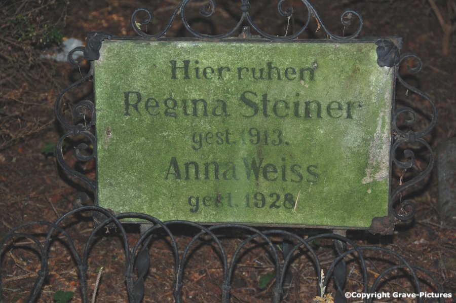 Steiner Regina