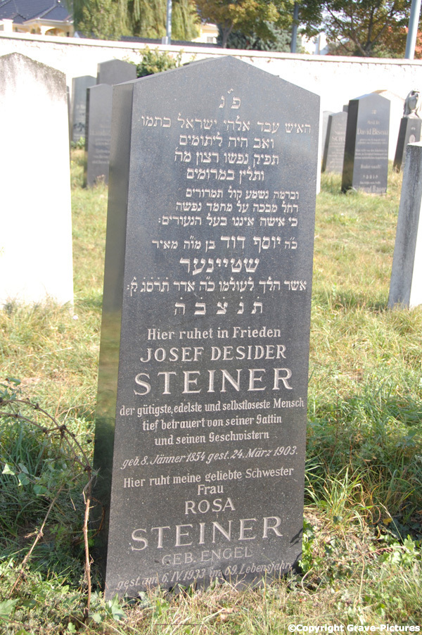Steiner Rosa