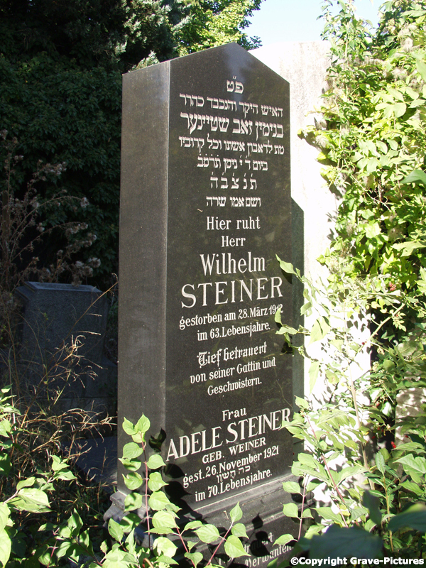 Steiner Wilhelm