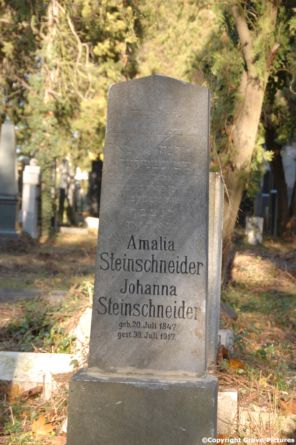 Steinschneider Amalia