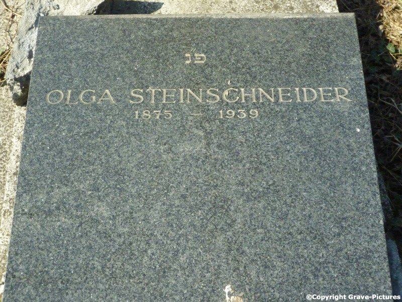 Steinschneider Olga