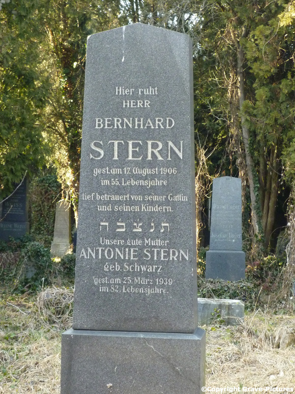 Stern Bernhard