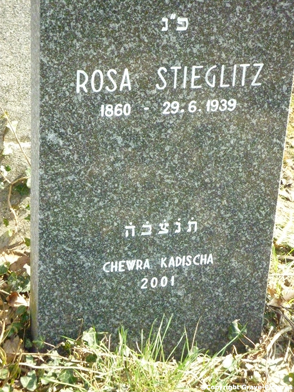 Stieglitz Rosa Sara
