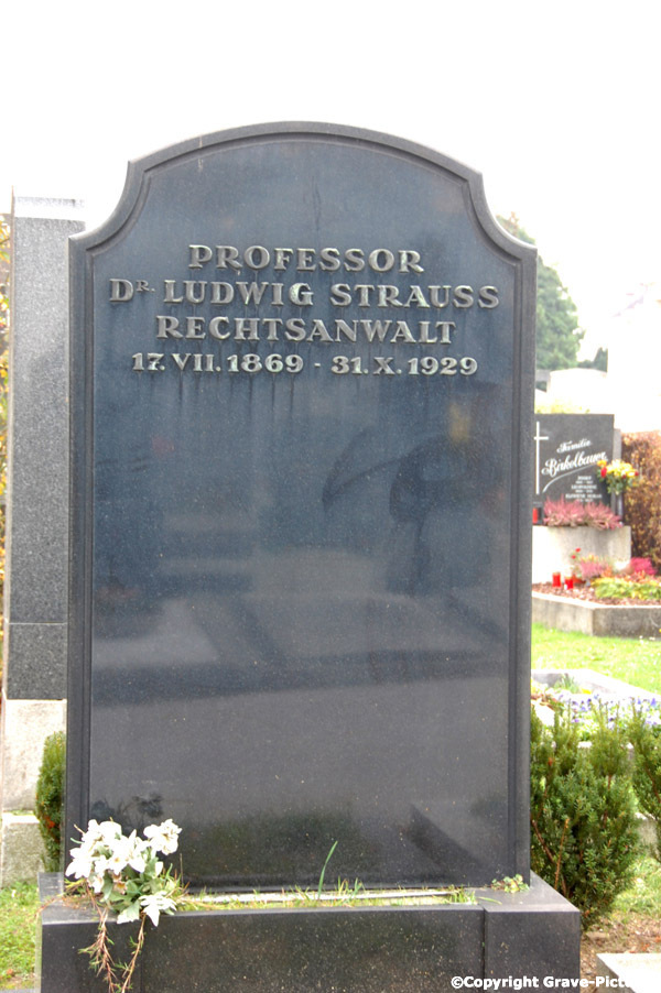 Strauss Ludwig Dr.