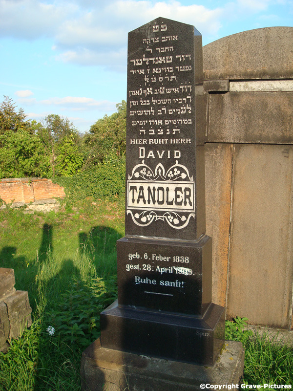 Tandler David