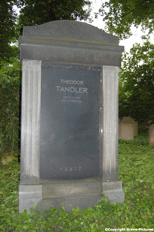 Tandler Theodor