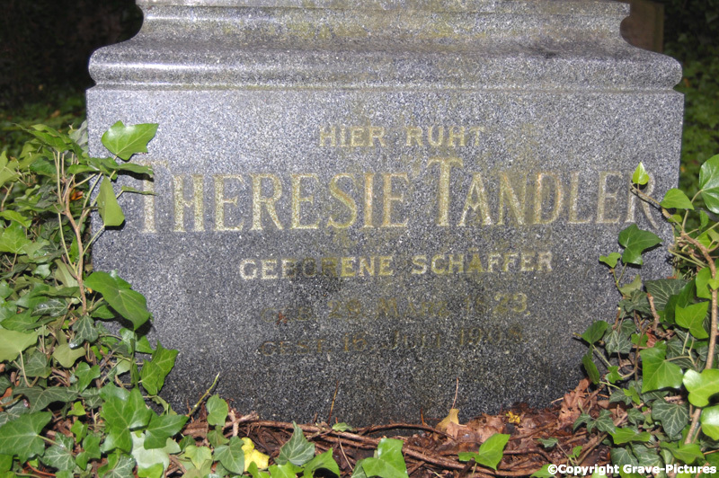 Tandler Theresie