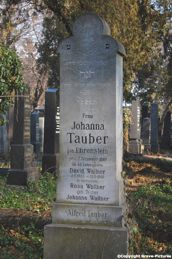 Tauber Johanna
