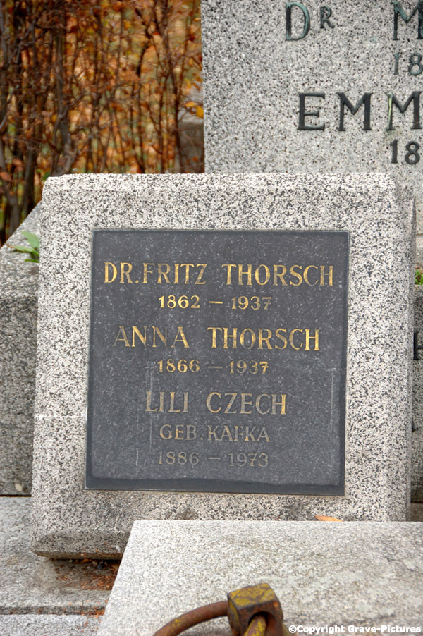 Thorsch Fritz Dr.