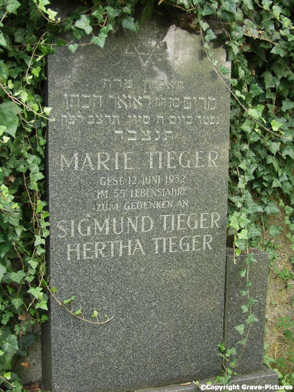 Tieger Marie