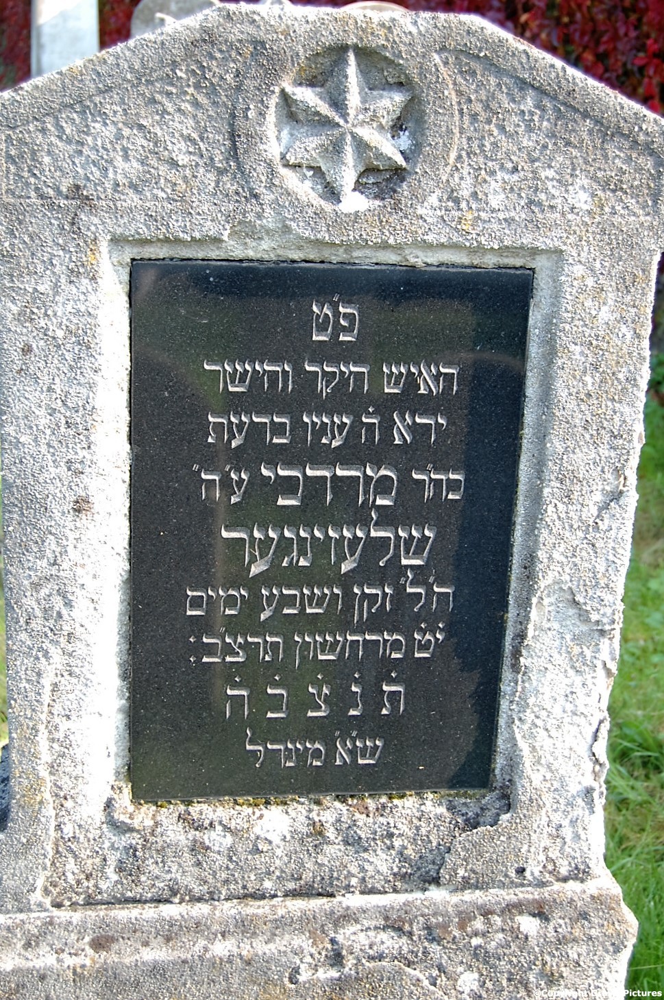 Tombstone Hebrew 29