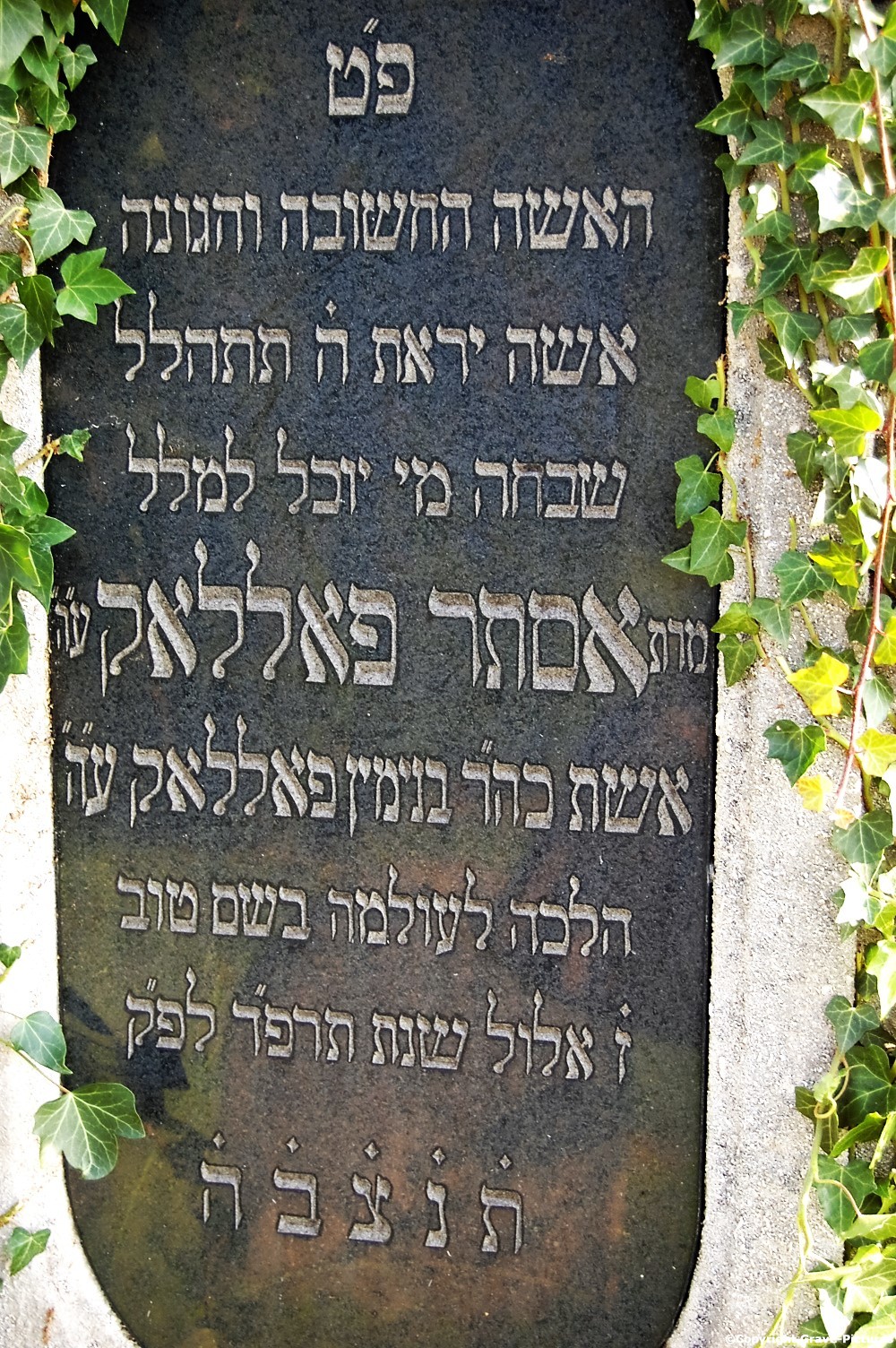 Tombstone Hebrew 40