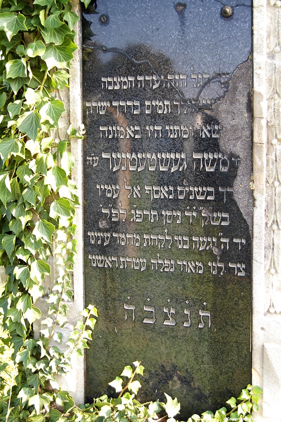Tombstone Hebrew 53