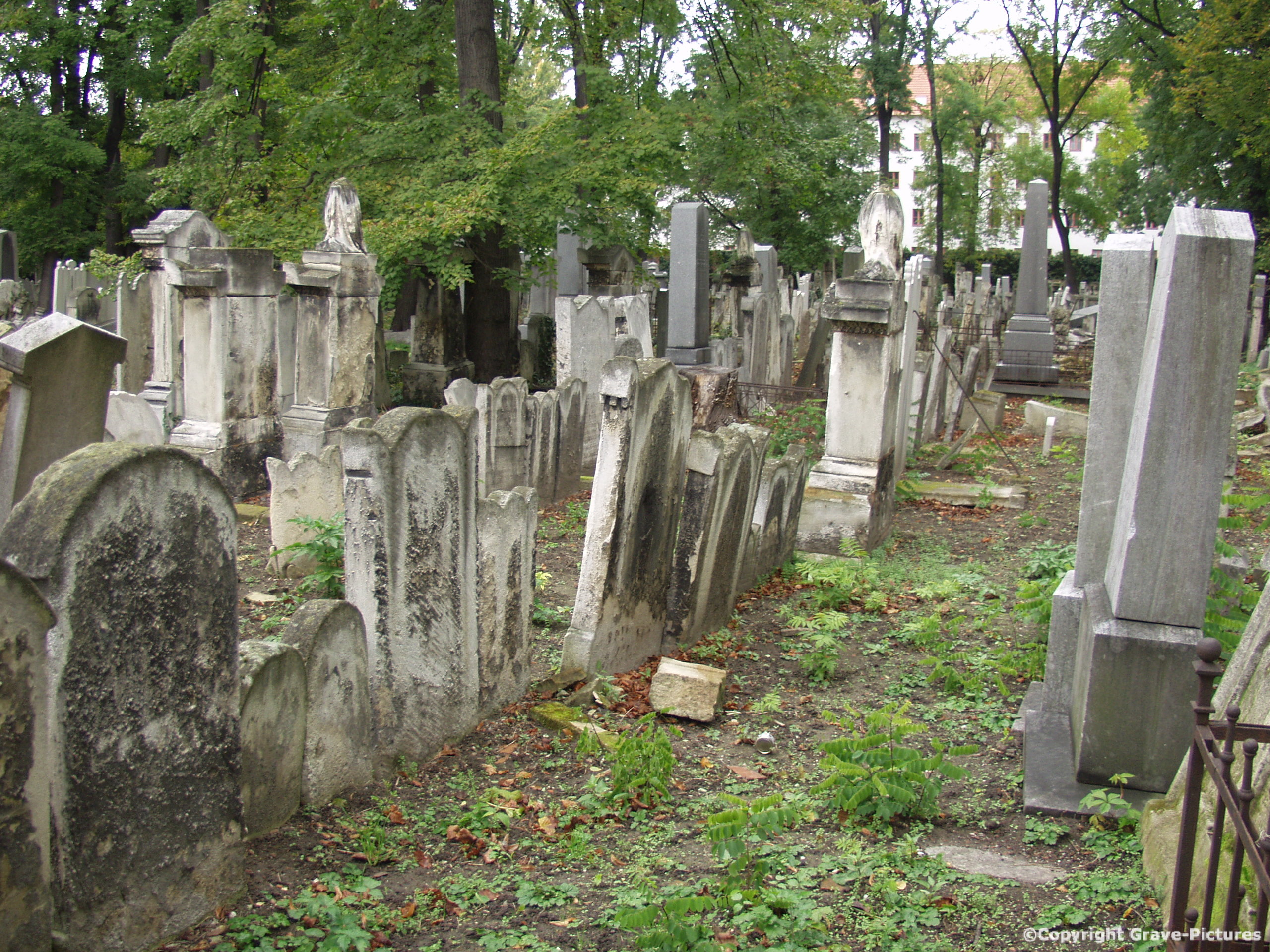 Währinger Friedhof 10