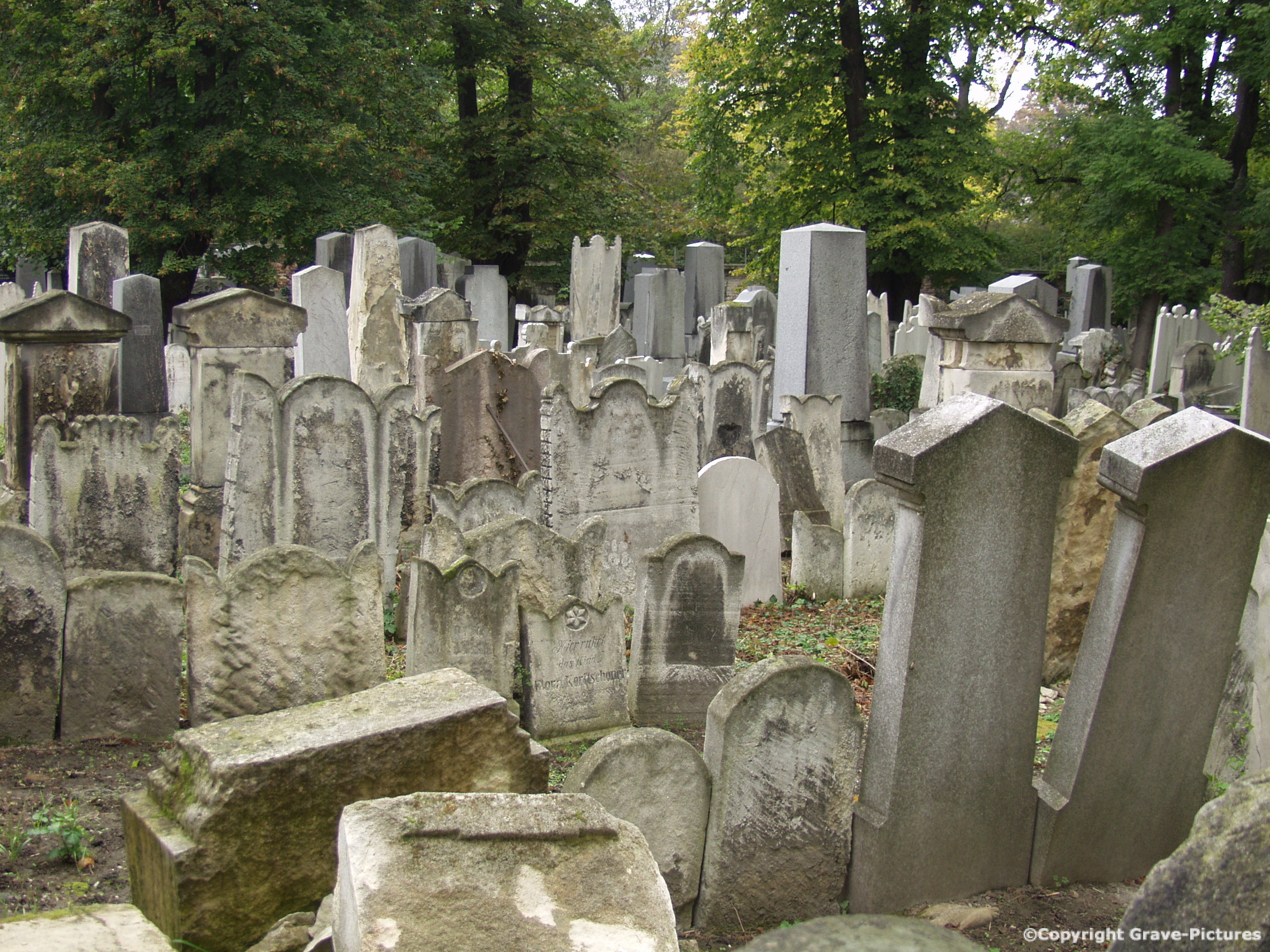 Währinger Friedhof 12