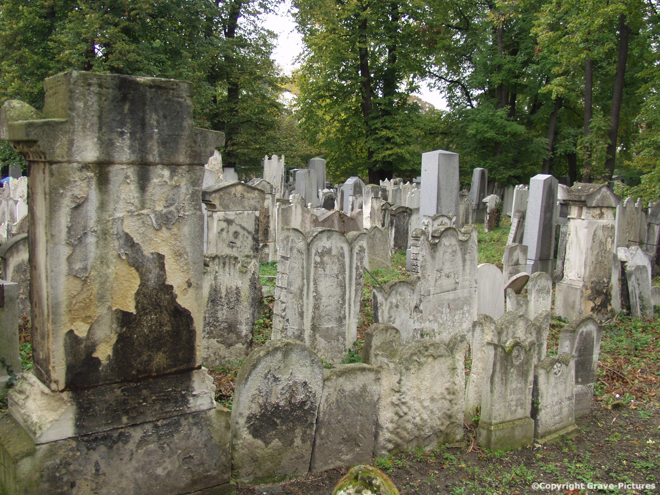 Währinger Friedhof 18