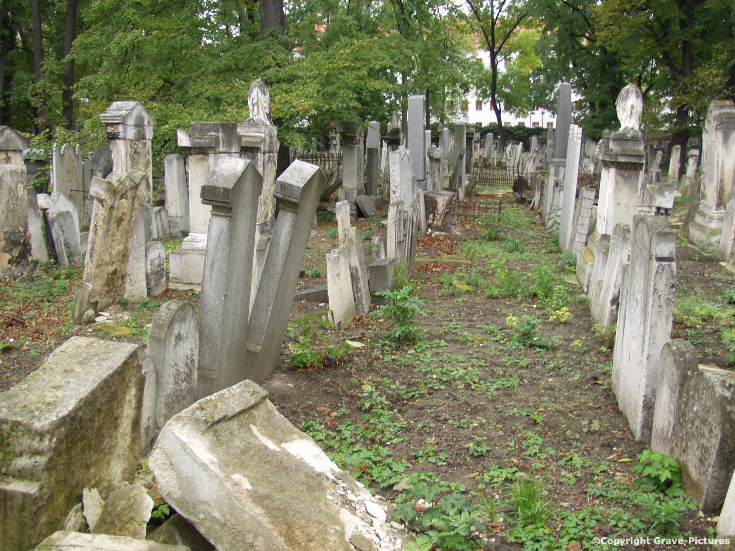 Währinger Friedhof 19