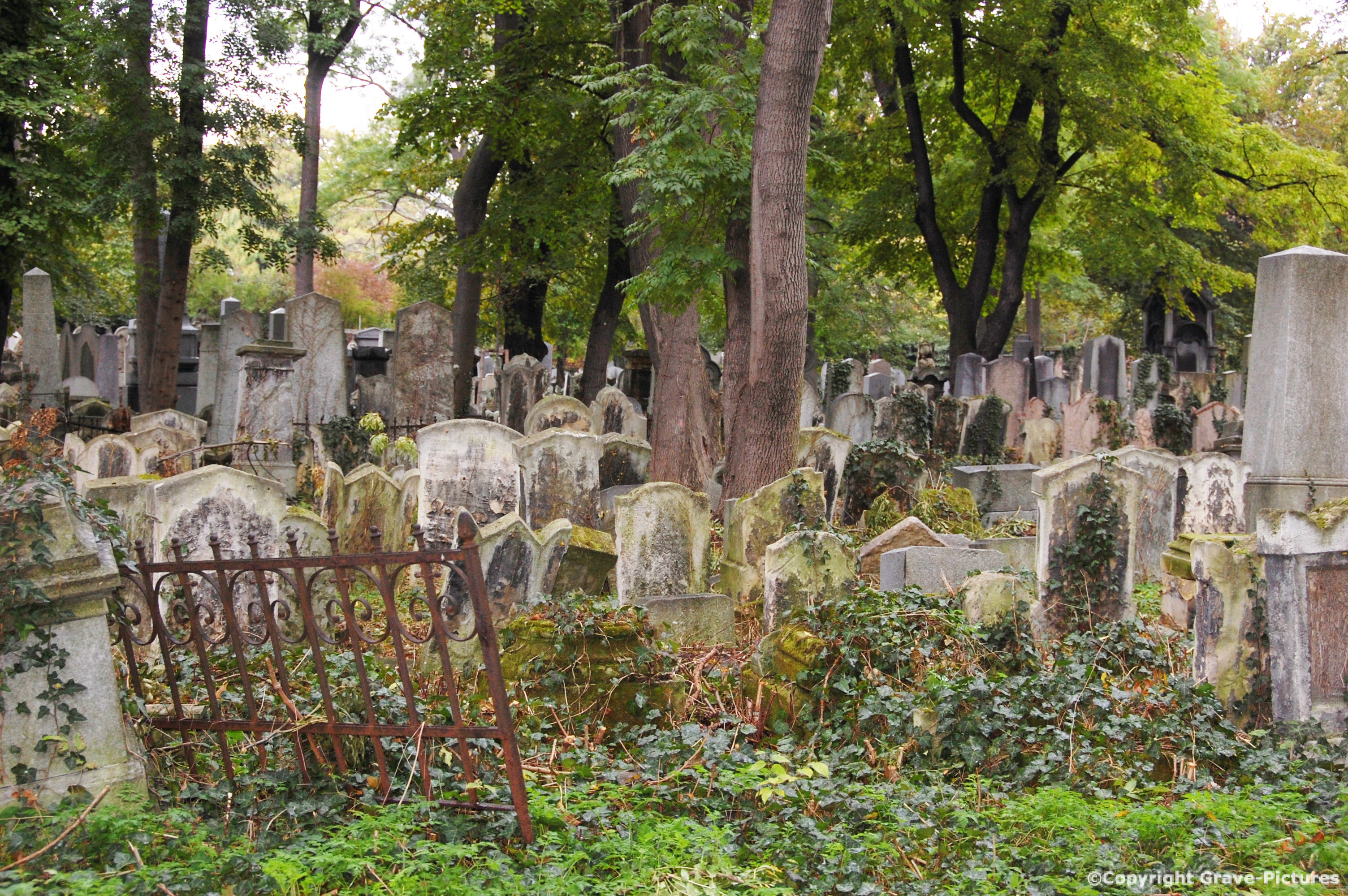 Währinger Friedhof 2