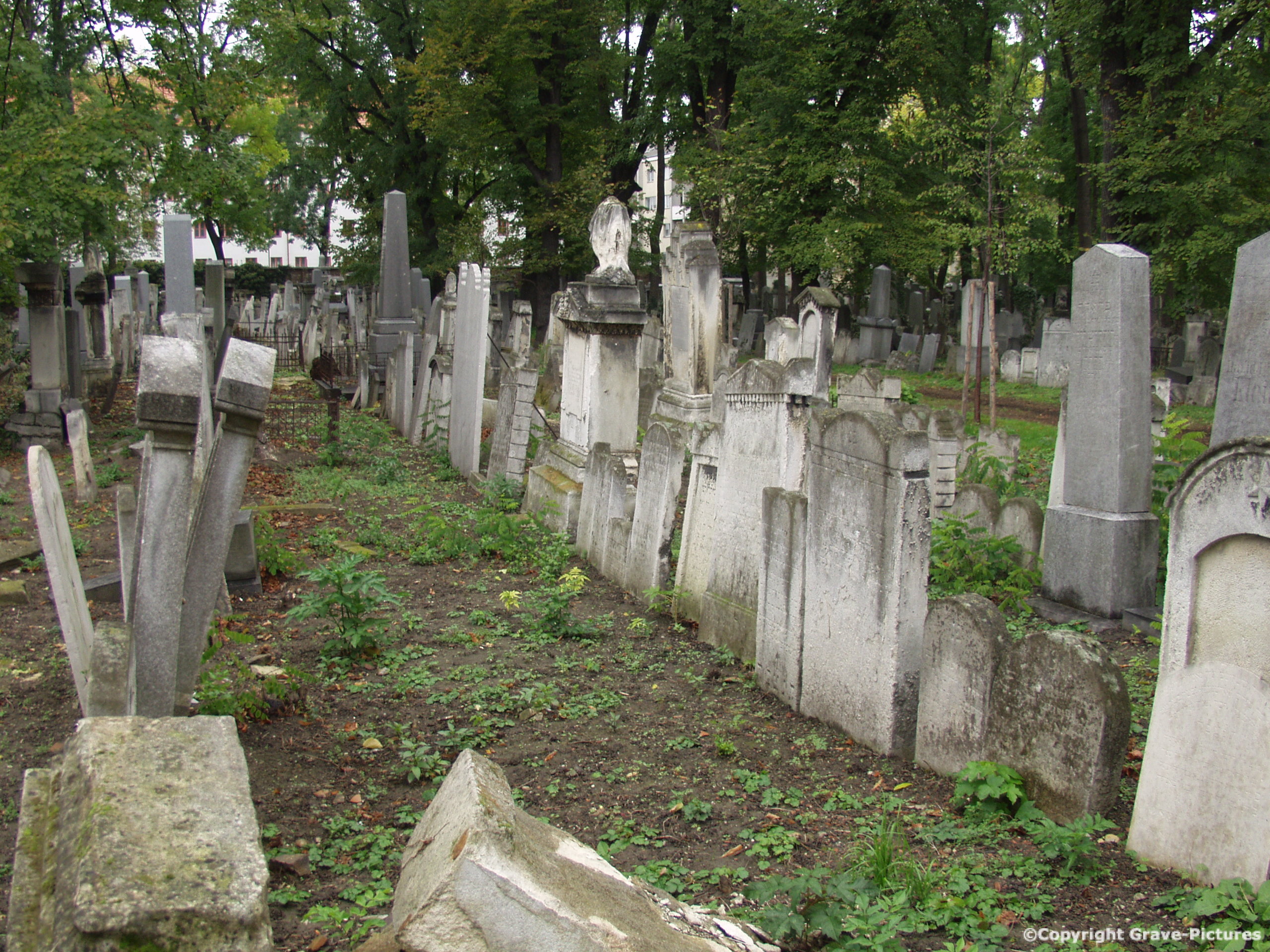 Währinger Friedhof 20