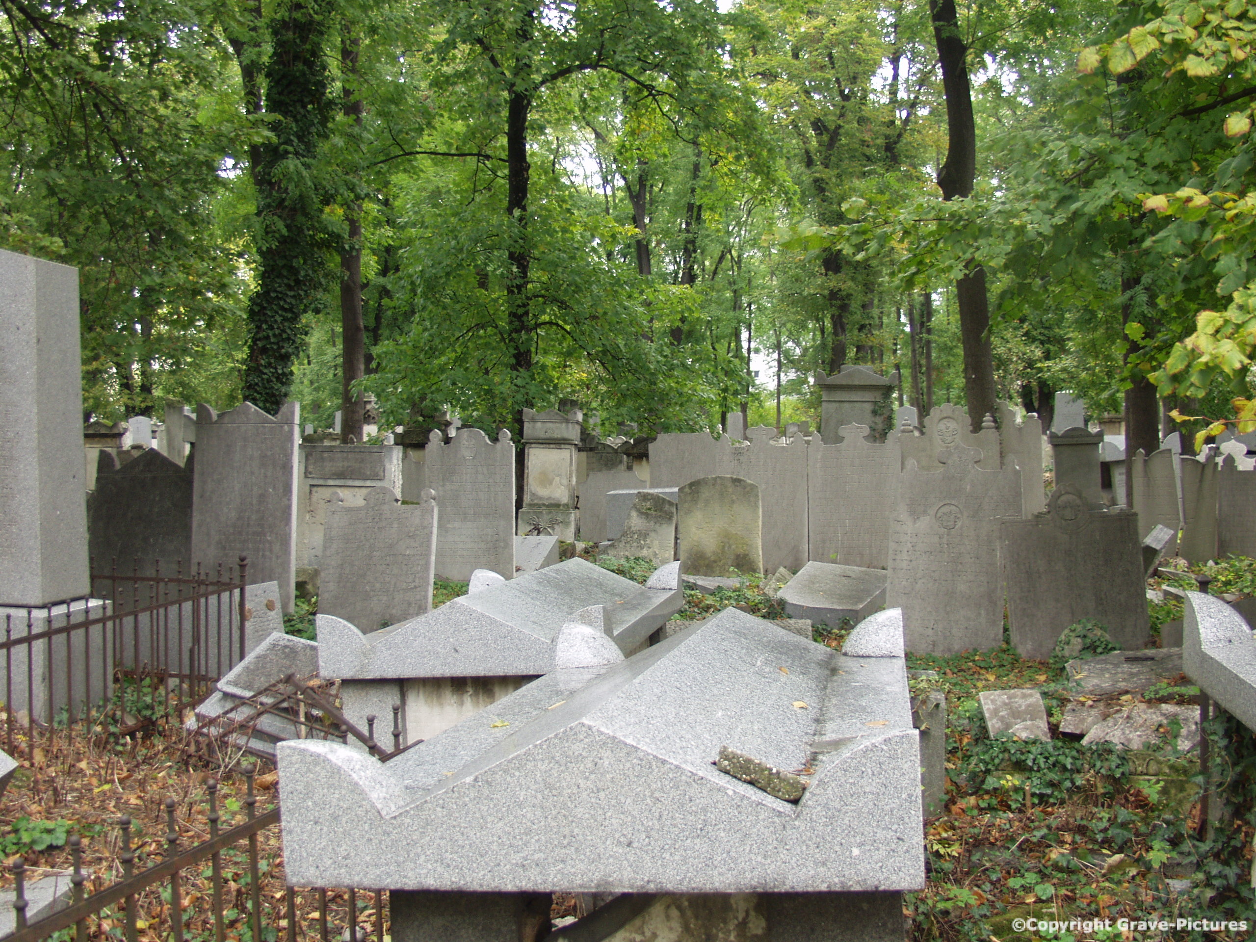 Währinger Friedhof 25
