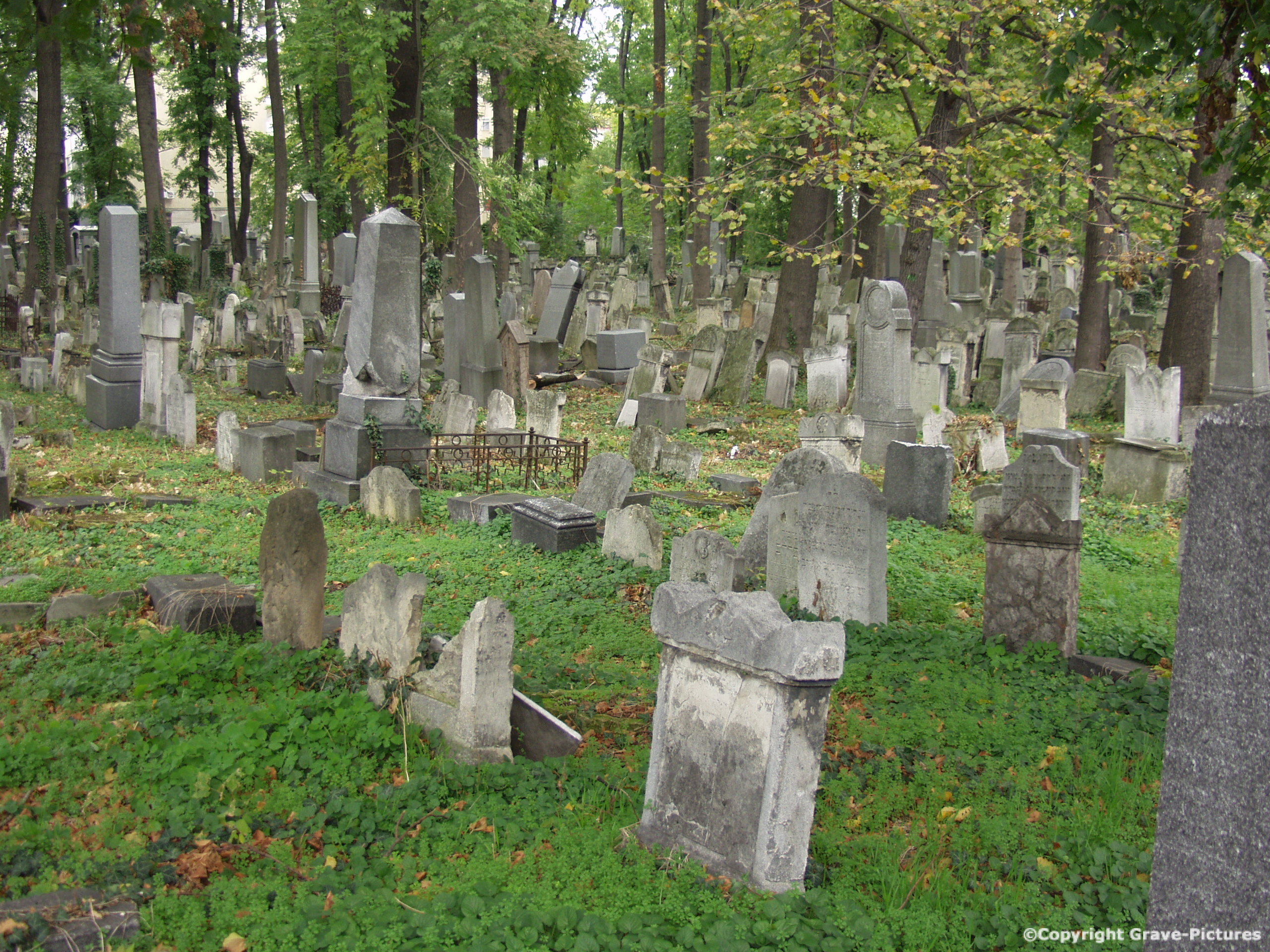 Währinger Friedhof 3