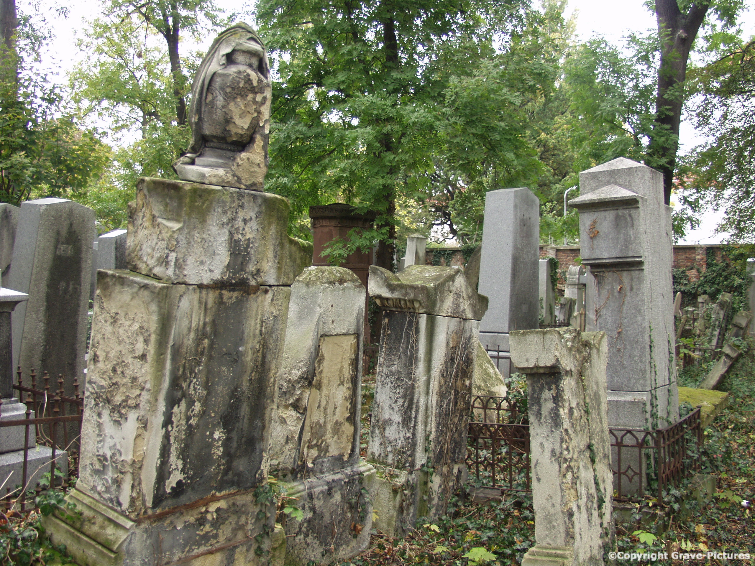 Währinger Friedhof 35