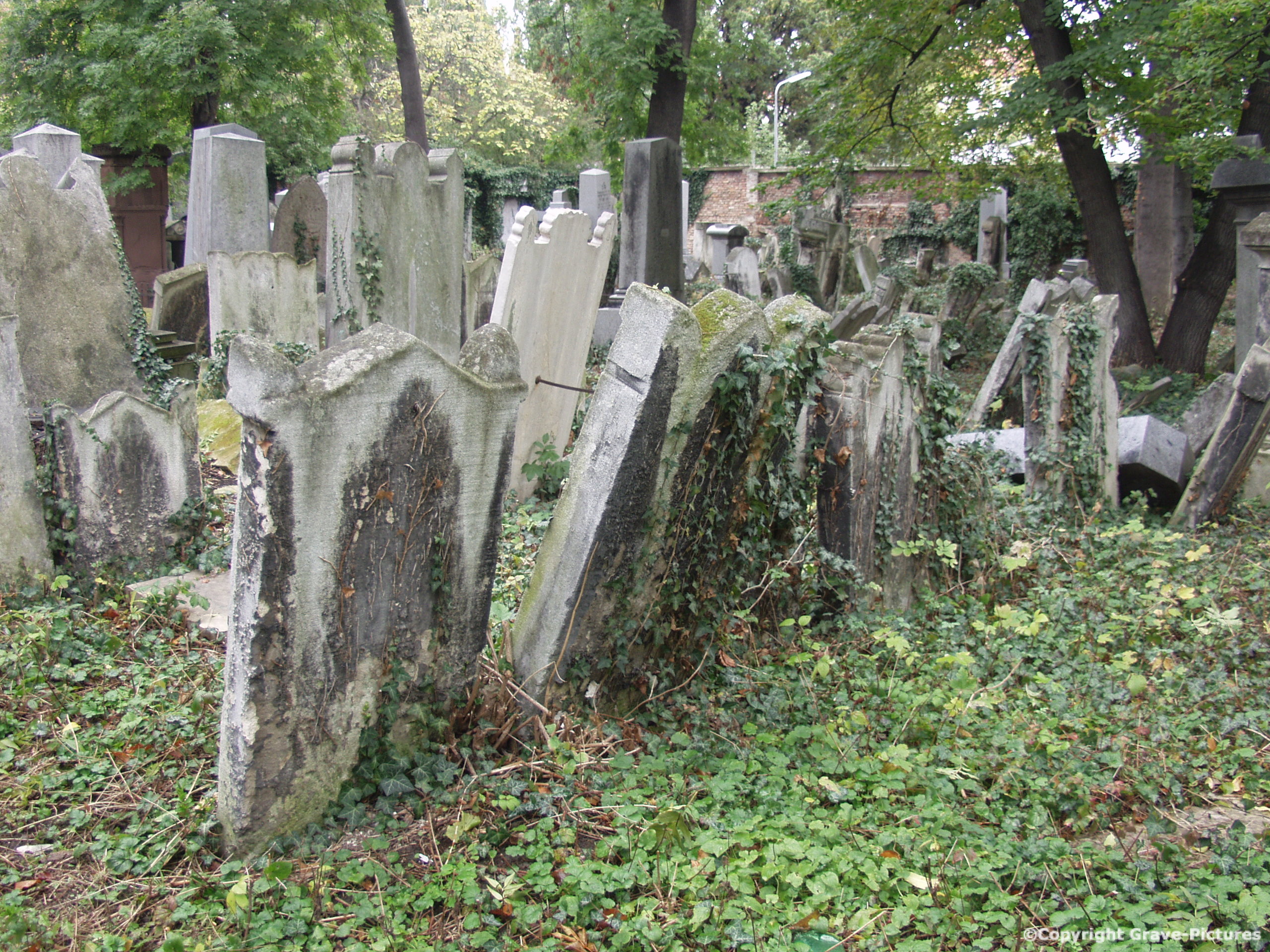 Währinger Friedhof 37