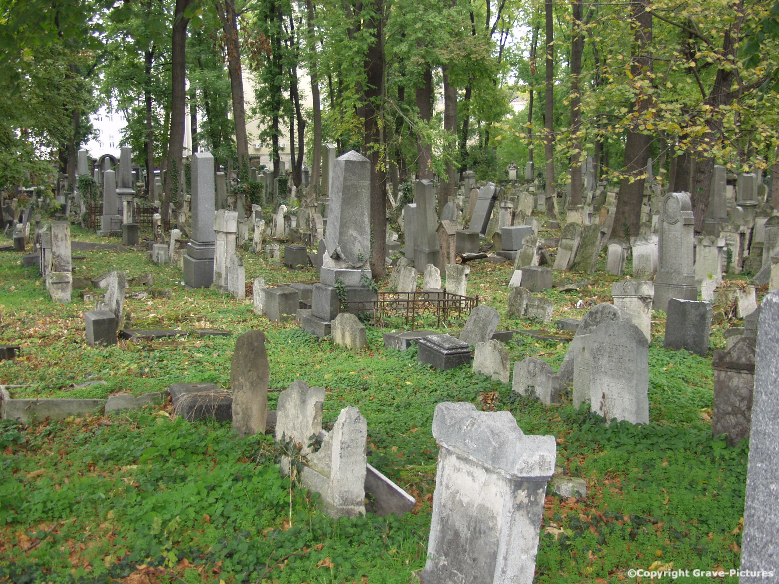 Währinger Friedhof 4