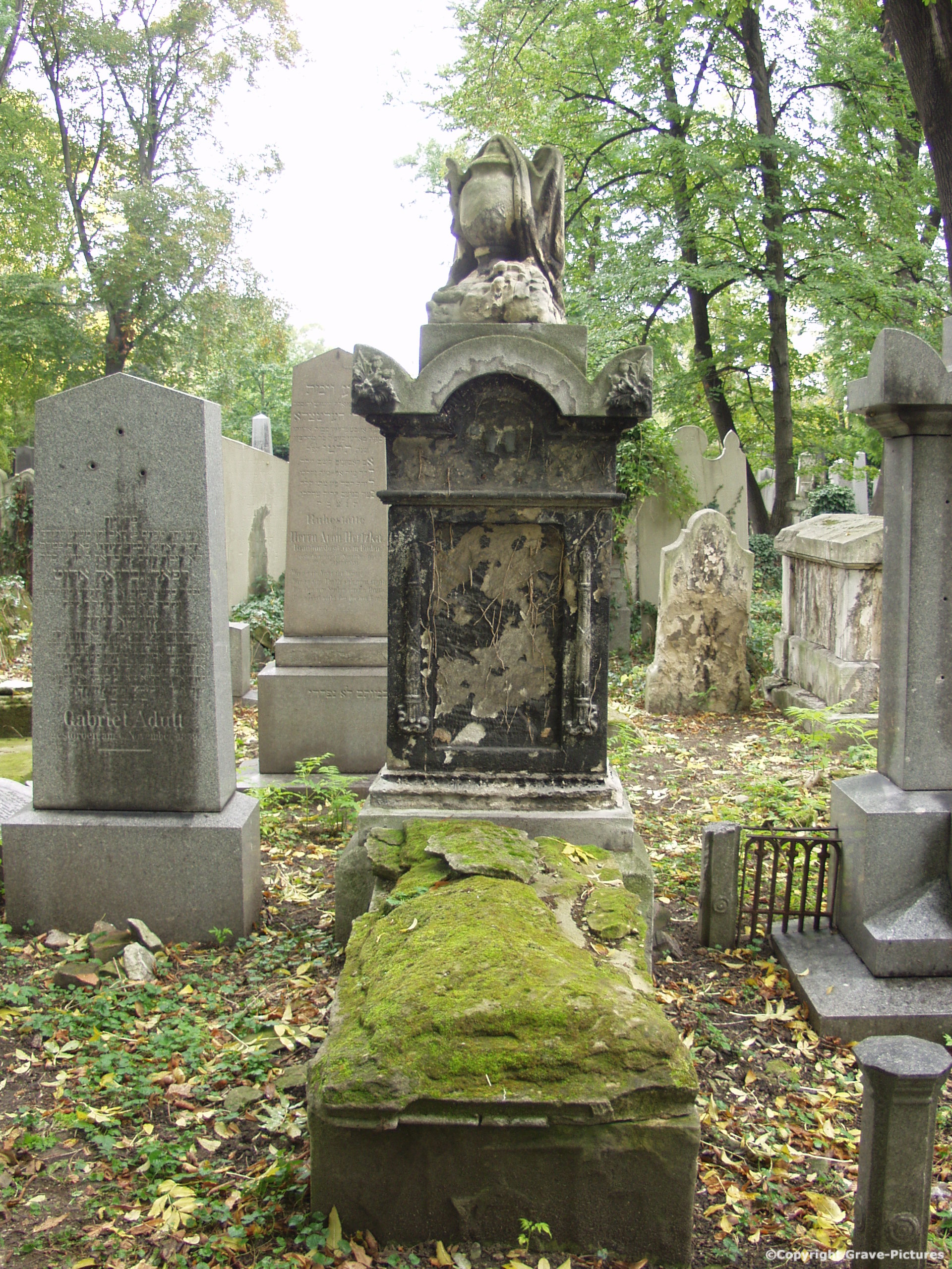Währinger Friedhof 44