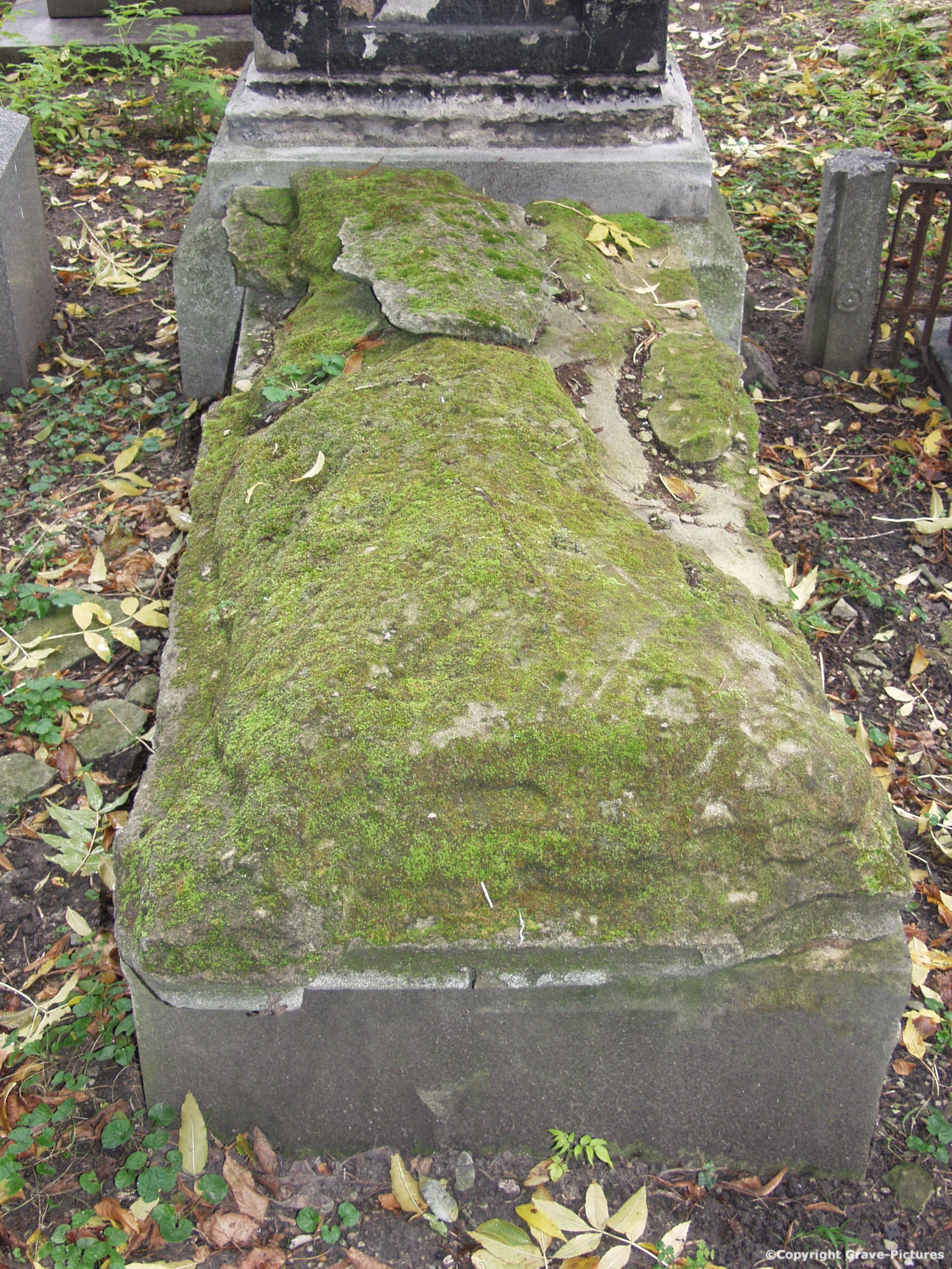 Währinger Friedhof 45