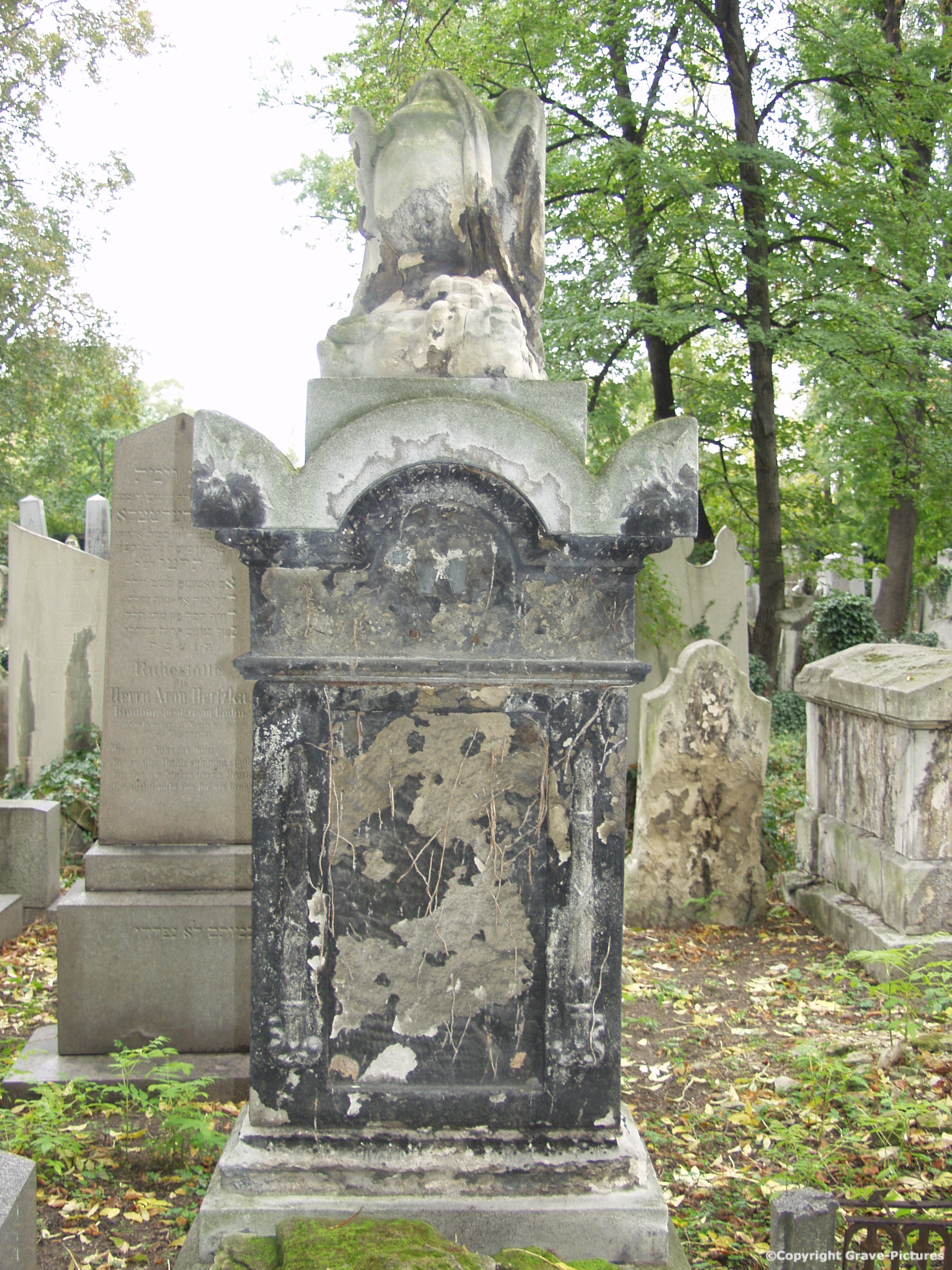 Währinger Friedhof 46
