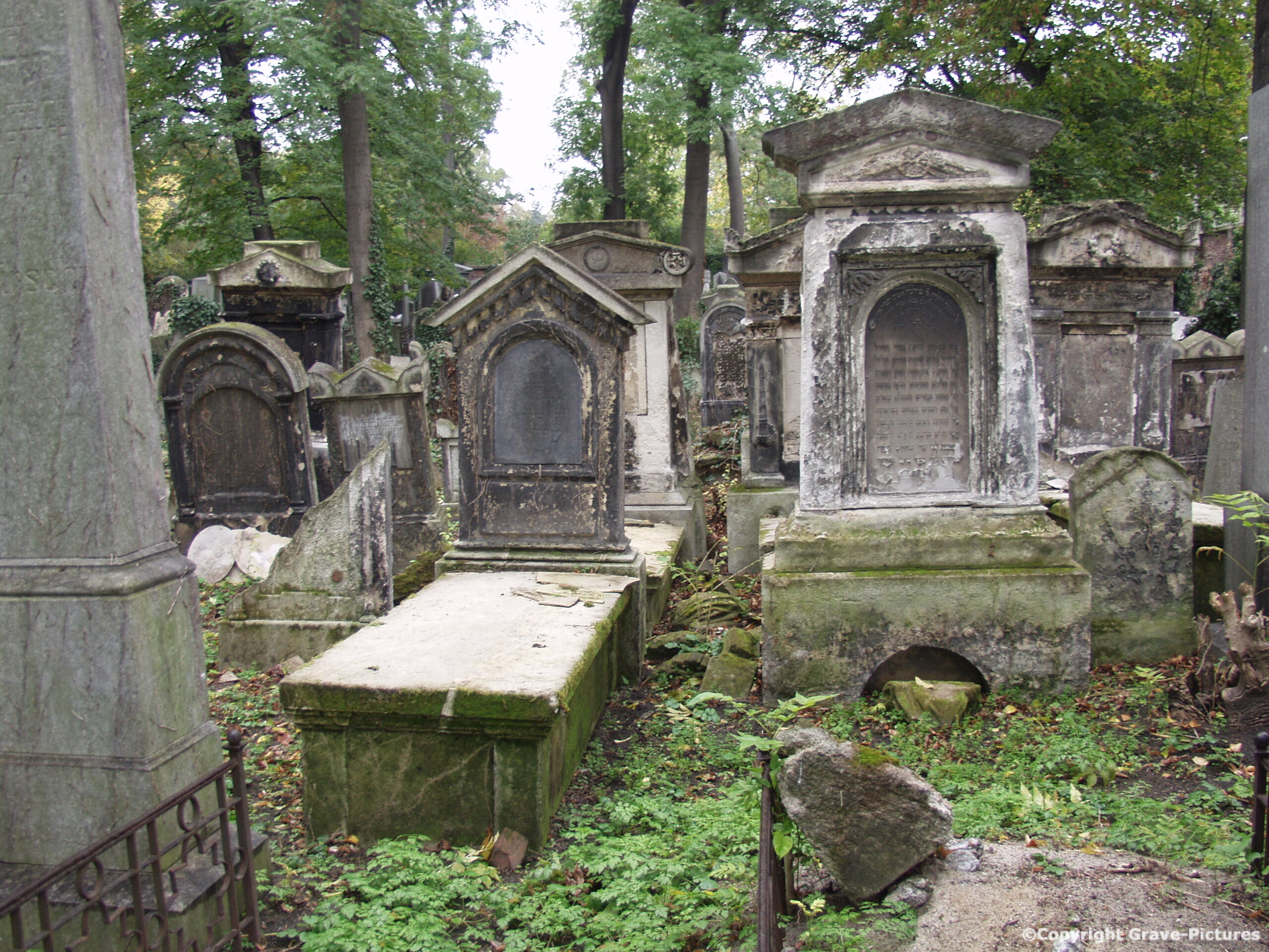 Währinger Friedhof 49