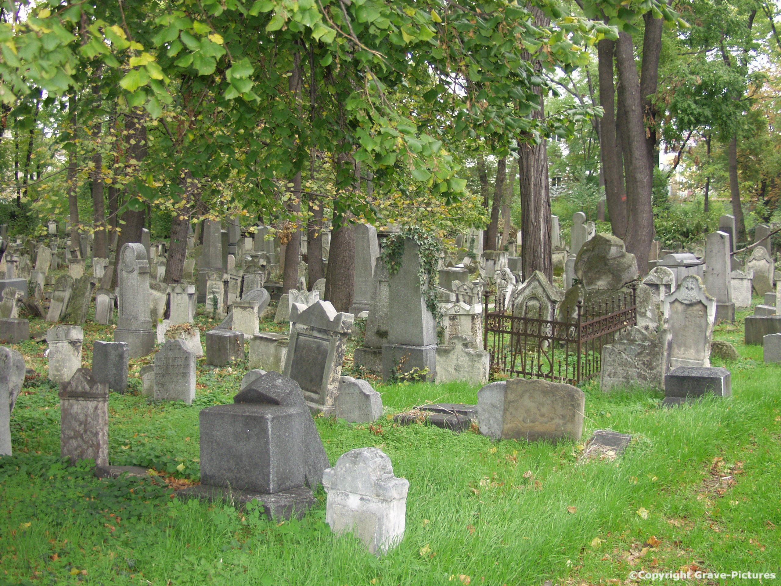 Währinger Friedhof 5