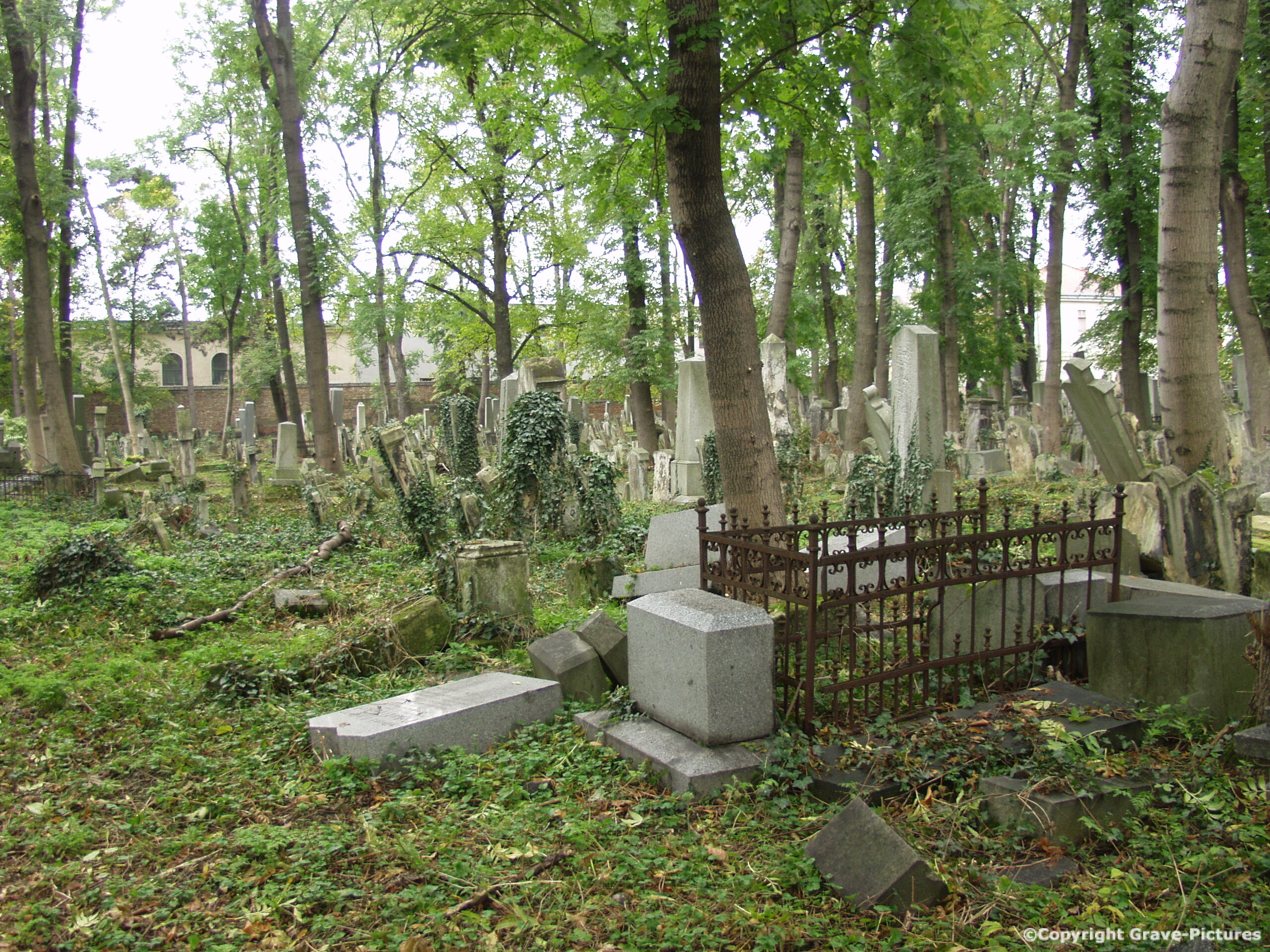 Währinger Friedhof 52