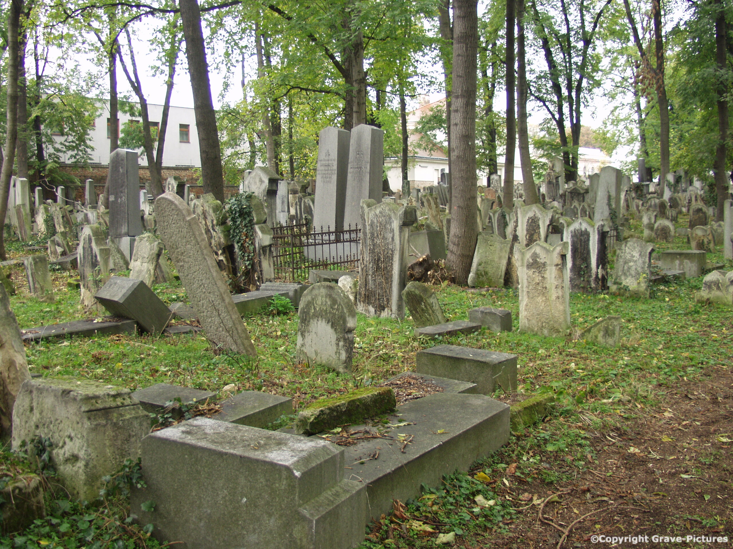 Währinger Friedhof 61