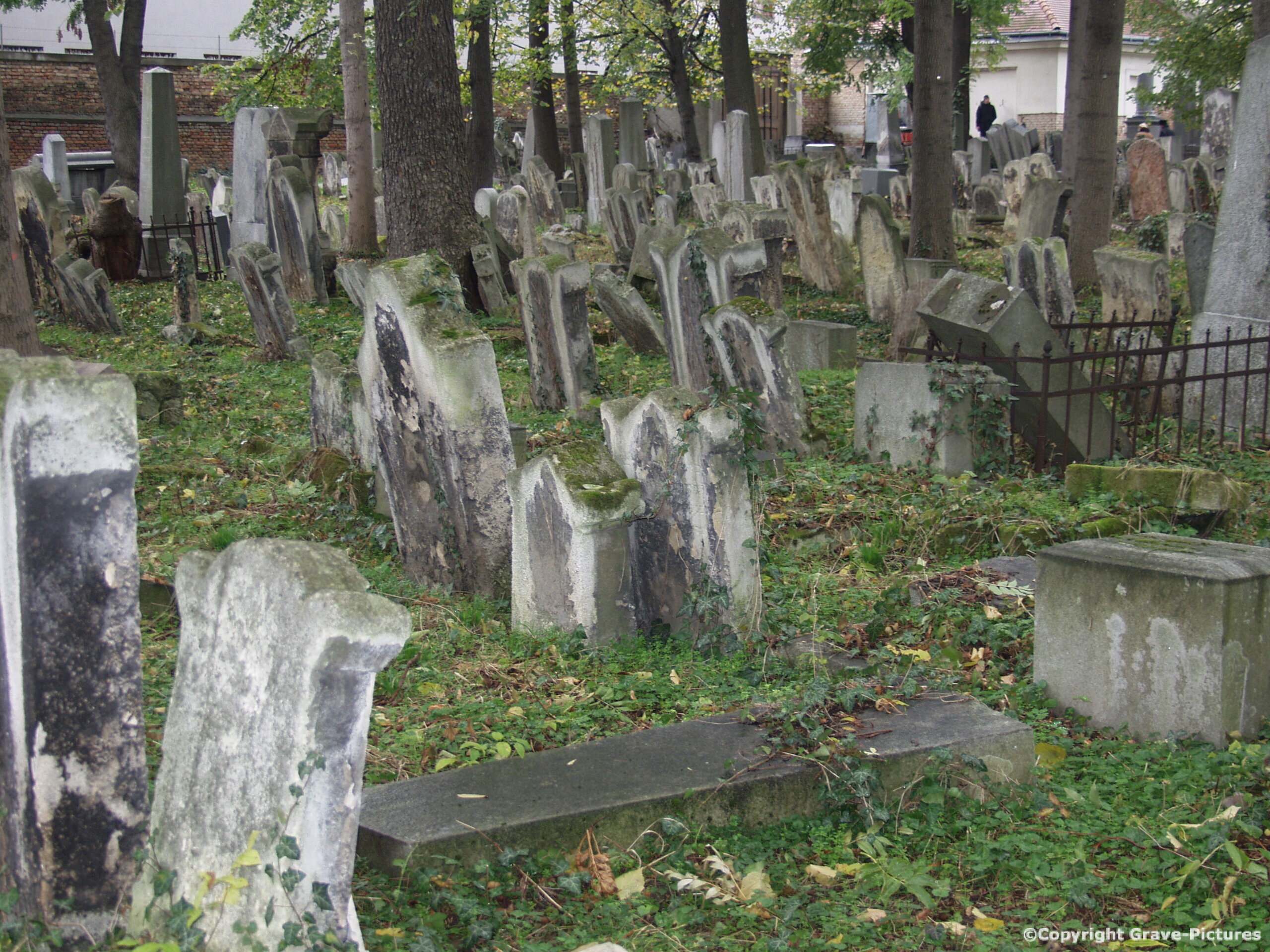 Währinger Friedhof 62